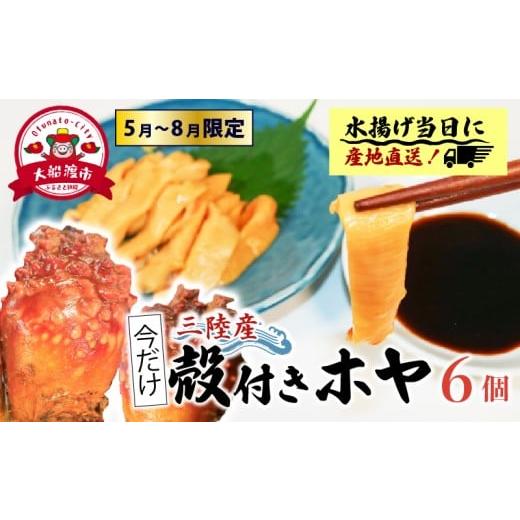 ふるさと納税 旬の鮮魚等 岩手県 大船渡市 先行予約 殻付きホヤ6個 期間限定 ＼5月頃より順次発送/ ほや ホヤ Hoya 串焼き フライ ごはん 夕飯 おかず おつ…