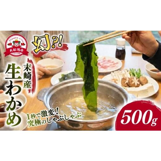 ふるさと納税 のり・海藻 わかめ 岩手県 大船渡市 2ヶ月間 期間限定 生わかめ 500g 新物 期間限定 2026年1月〜発送予定 わかめ 早採りわかめ 生わかめ 三陸 …