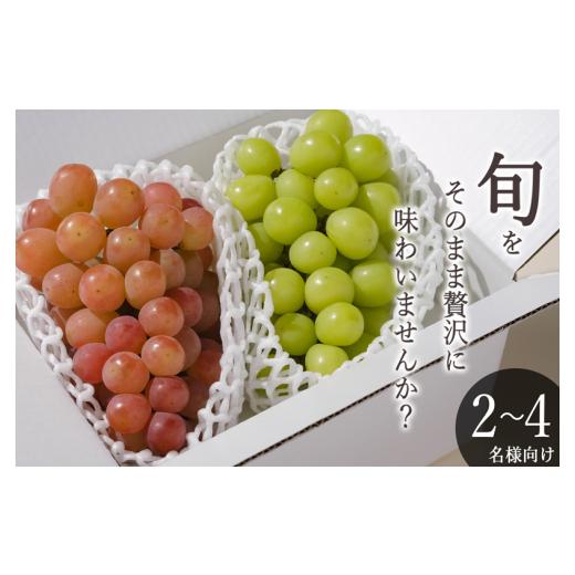 ふるさと納税 ぶどう マスカット 山梨県 甲州市 甲州市産 シャインマスカット&amp;サンシャインレッド 2房入(約1.1kg)自然農法 2026年発送 (BNC)B15-427 …