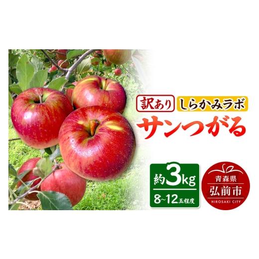 ふるさと納税 りんご 青森県 弘前市 26年9月クール便発送 りんご サンつがる 訳あり 約3kg しらかみラボ 先行受付 家庭用 青森県 弘前市 果物 フルーツ 林檎 …