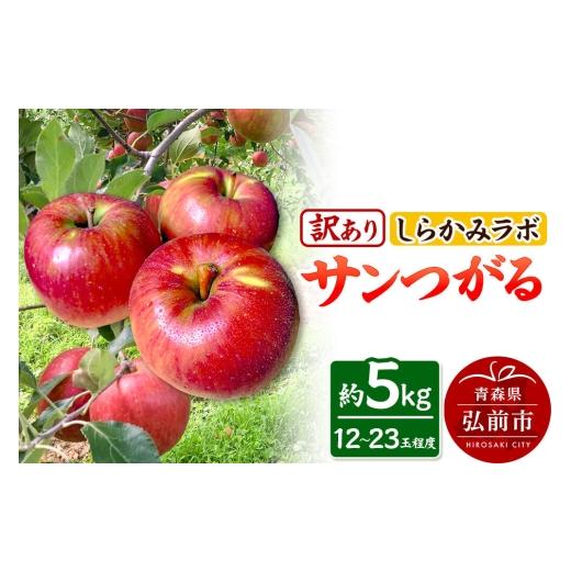 ふるさと納税 りんご 青森県 弘前市 26年9月クール便発送 りんご サンつがる 訳あり 約5kg しらかみラボ 先行受付 家庭用 青森県 弘前市 果物 フルーツ 林檎 …