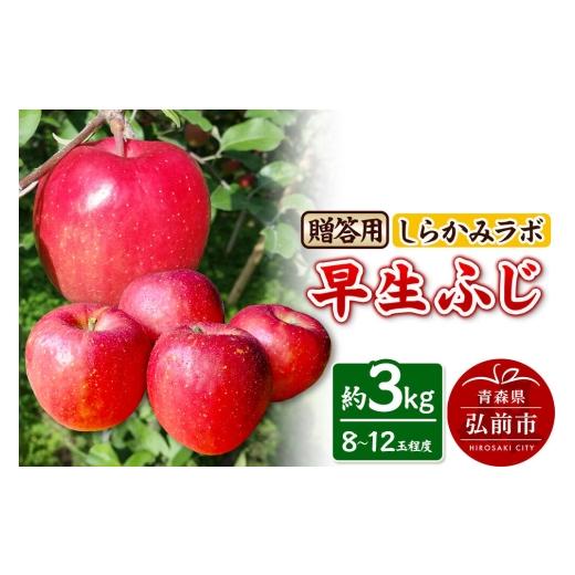 ふるさと納税 りんご 青森県 弘前市 26年10月発送 りんご 早生ふじ 贈答用 約3kg 先行受付 しらかみラボ 青森県 弘前市 果物 フルーツ 林檎 リンゴ くだもの …