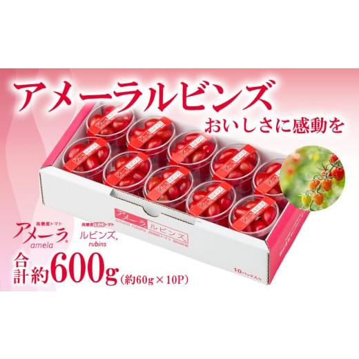 ふるさと納税 トマト ミニトマト 静岡県 小山町 アメーラルビンズ 10パック入り トマト とまと パック 野菜 静岡県 小山町 アメーラ アメーラトマト アメーラ…