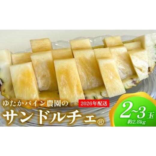 ふるさと納税 果物類 沖縄県 東村 ゆたかパイン農園のサンドルチェ 2〜3玉(約2.8kg) 2026年発送 沖縄県産 東村 パイナップル ジューシー 希少 高級フルーツ …