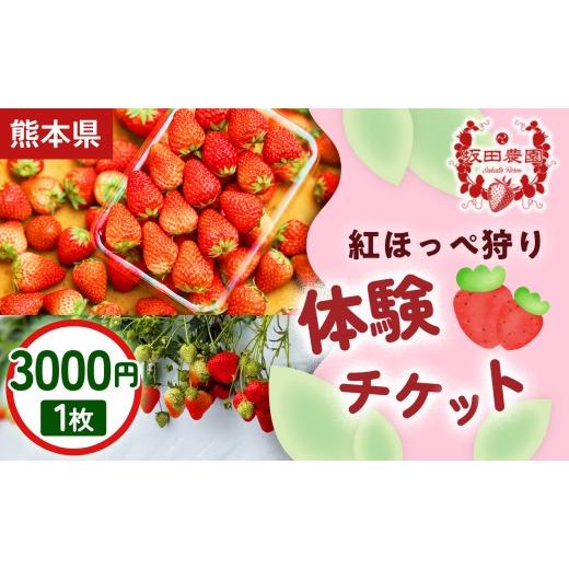 ふるさと納税 体験チケット 熊本県 玉名市 家族・カップルにおすすめ 熊本・玉名市のいちご狩り体験割引券 紅ほっぺ狩り体験チケット 3,000円×1枚 1セット |…