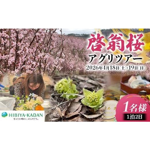 ふるさと納税 体験チケット 山形県 西川町 日比谷花壇 西川町の大自然を楽しむ 啓翁桜 アグリツアー 1名分 1泊2日 2026年4月18日(土)・19日(日) FYN6-448