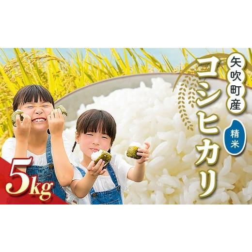 ふるさと納税 米 コシヒカリ 福島県 矢吹町 矢吹町産 コシヒカリ 令和7年産米 精米5kg F6U-402