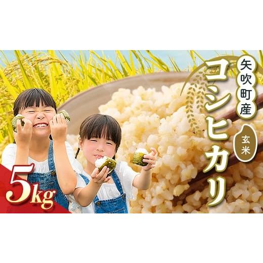 ふるさと納税 玄米 福島県 矢吹町 矢吹町産 コシヒカリ 令和7年産米 玄米5kg F6U-403