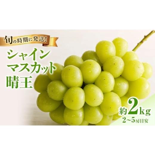 ふるさと納税 ぶどう マスカット 岡山県 高梁市   2026年先行受付 シャインマスカット 晴王 秀品 大房 約2kg(2〜5房) 岡山県産 ぶどう 葡萄 ブド…