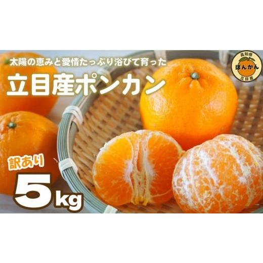 ふるさと納税 みかん・柑橘類 高知県 須崎市 立目産 ポンカン 訳あり 5kg サイズ混合 家庭用 立目 ブランド 果物 フルーツ 冬 柑橘 2026年 収穫分 みかん 蜜柑…