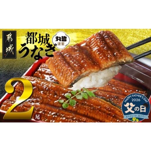 ふるさと納税 うなぎ 宮崎県 都城市 父の日 宮崎県育ちのうなぎ蒲焼2尾300g以上 山椒・たれ付 6月18日〜21日お届け _13-M301-FG_(都城市) うなぎ蒲焼(有頭) …