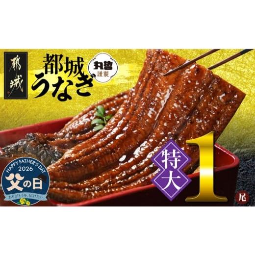 ふるさと納税 うなぎ 宮崎県 都城市 父の日 宮崎県育ちの 特大 うなぎ蒲焼1尾210g以上 山椒・たれ付 6月18日〜21日お届け _11-M301-FG_(都城市) 特大うなぎ蒲…