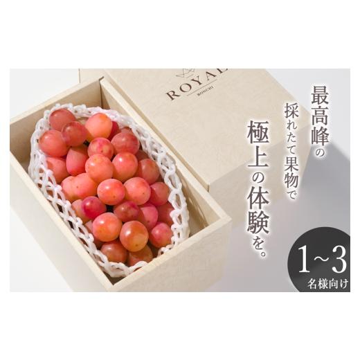 ふるさと納税 ぶどう 山梨県 甲州市 甲州市産 大粒サンシャインレッド 1房入(約630g)自然農法 2026年発送 (BNC)C2-425 サンシャインレッド ぶどう 葡萄 ブ…