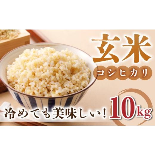 ふるさと納税 米 コシヒカリ 長野県 東御市 玄米10kg(5kg×2袋)冷めても美味しいコシヒカリ 小田農園 |最短4〜7日程度でお届け 着日指定不可