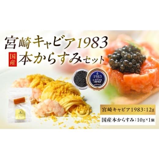ふるさと納税 魚貝類 キャビア 宮崎県 宮崎市 宮崎キャビア1983(12g)&国産本からすみ(10g×1個)セット_M017-059-01 48,000円 キャビア12g・からすみ1個