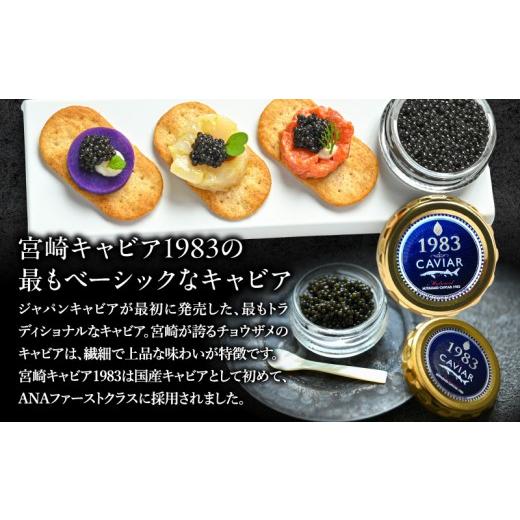 ふるさと納税 魚貝類 キャビア 宮崎県 宮崎市 宮崎キャビア1983(20g)\u0026国産本からすみ(10g×2個)セット_M017-059-02 73,000円 キャビア20g・からすみ2個の画像