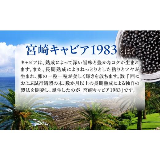 ふるさと納税 魚貝類 キャビア 宮崎県 宮崎市 宮崎キャビア1983(20g)\u0026国産本からすみ(10g×2個)セット_M017-059-02 73,000円 キャビア20g・からすみ2個の画像