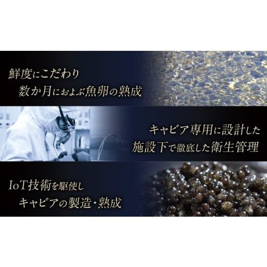 ふるさと納税 魚貝類 キャビア 宮崎県 宮崎市 宮崎キャビア1983(20g)\u0026国産本からすみ(10g×2個)セット_M017-059-02 73,000円 キャビア20g・からすみ2個の画像
