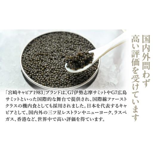 ふるさと納税 魚貝類 キャビア 宮崎県 宮崎市 宮崎キャビア1983(20g)\u0026国産本からすみ(10g×2個)セット_M017-059-02 73,000円 キャビア20g・からすみ2個の画像