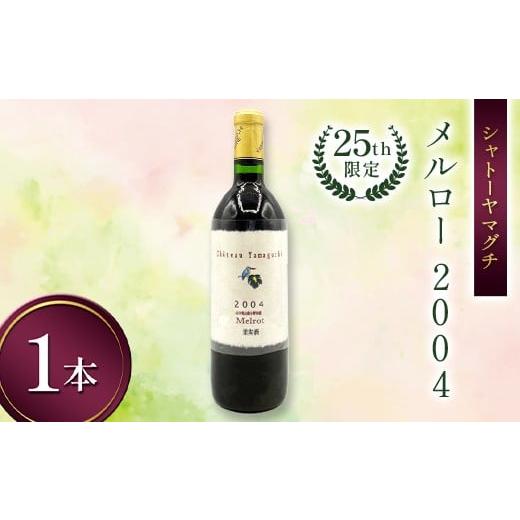 ふるさと納税 ワイン 山口県 山陽小野田市 シャトーヤマグチ メルロー2004 25th限定 720ml 1本 限定5本 ワイン 永山酒造 アルコール 酒