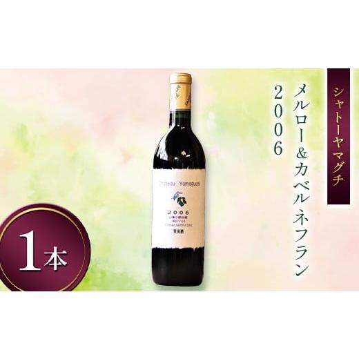 ふるさと納税 ワイン 山口県 山陽小野田市 シャトーヤマグチ メルロー&カベルネフラン2006 720ml 1本 限定5本 ワイン 永山酒造 アルコール 酒