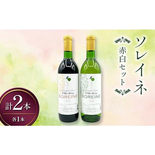 ふるさと納税 ワイン セット 山口県 山陽小野田市 ソレイネ 赤白セット 720ml 各1本 ワイン 永山酒造 アルコール 酒 F6L-1381 720ml 各1本