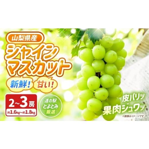 ふるさと納税 ぶどう マスカット 山梨県 中央市 新鮮 甘い 山梨県産シャインマスカット2房〜3房(約1.6kg〜1.8kg) 「道の駅とよとみ」より厳選したものを出荷…