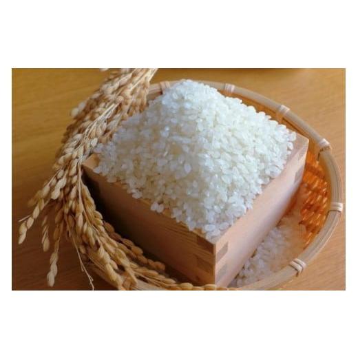 ふるさと納税 米 あきたこまち 長野県 塩尻市 生産者さんの顔がわかる 令和7年産 手塚さん家のお米 長野県 塩尻産 あきたこまち 無洗米 5kg | 令和7年産 米 あ…