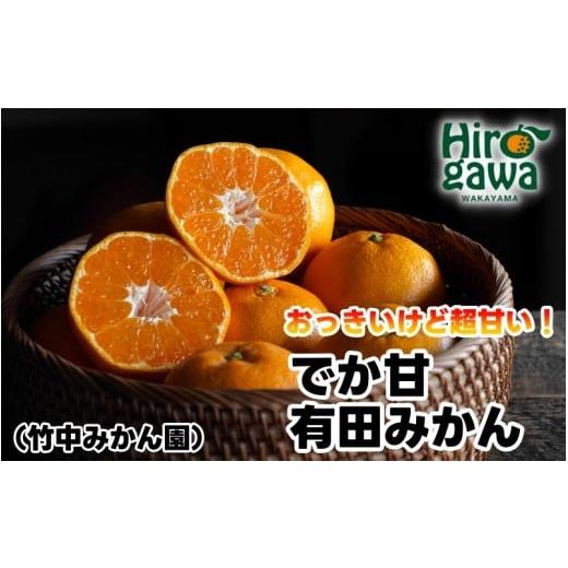 ふるさと納税 果物類 みかん 和歌山県 広川町 でか甘有田みかん5kg ((L〜2L混合) 2026年11月〜2027年1月中旬に順次発送予定 tkn004-l-5