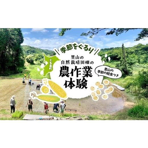 ふるさと納税 体験チケット 千葉県 大多喜町 W03508 季節をぐるり 里山の無農薬?無肥料栽培田畑の農作業体験 里山の季節の軽食つき ふるさと納税 農作業 農…