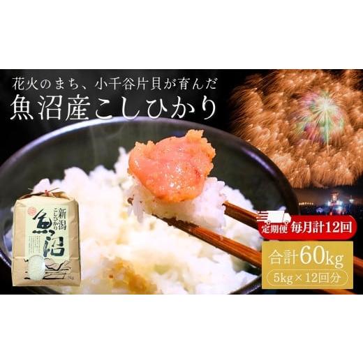ふるさと納税 米 コシヒカリ 新潟県 小千谷市 コシヒカリ 定期便 令和7年産 魚沼産コシヒカリ 5kg×12回 (計60kg) 米萬商店 | 毎月お届け 四尺玉の町・片貝産…