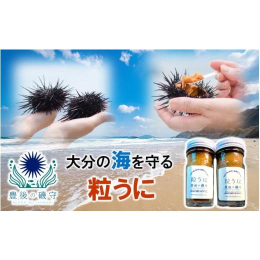 ふるさと納税 ウニ 大分県 国東市 豊後の磯守 粒うに 60g×2本 _2522R