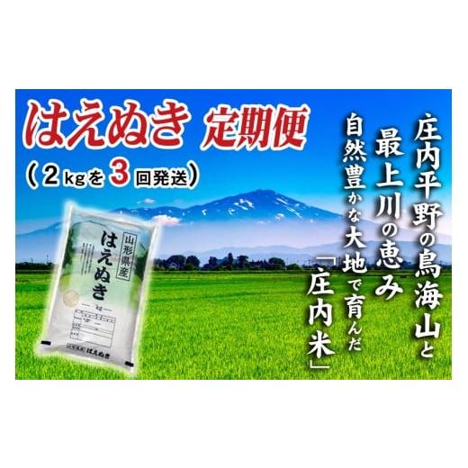 ふるさと納税 米 はえぬき 山形県 酒田市 3回定期便 令和7年産 [精米] はえぬき 2kg×3回(計6kg) SI