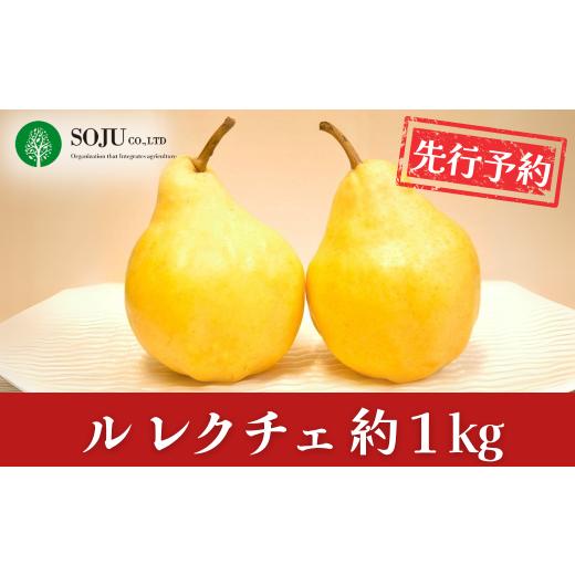 ふるさと納税 梨 新潟県 三条市 先行予約 ル レクチェ 約1kg 洋梨 JGAP認証農場 新潟県 三条市産 ル レクチエ 期間限定 冬限定 幻の西洋梨 フルーツ 秋 旬 洋…