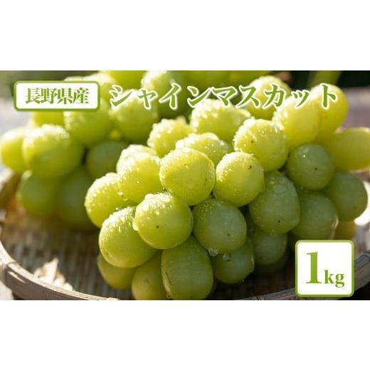 ふるさと納税 ぶどう マスカット 長野県 飯田市 2026年先行予約 シャインマスカット 1kg 農家直送 | 果物 くだもの フルーツ ぶどう 葡萄 信州 南信州 長野県…