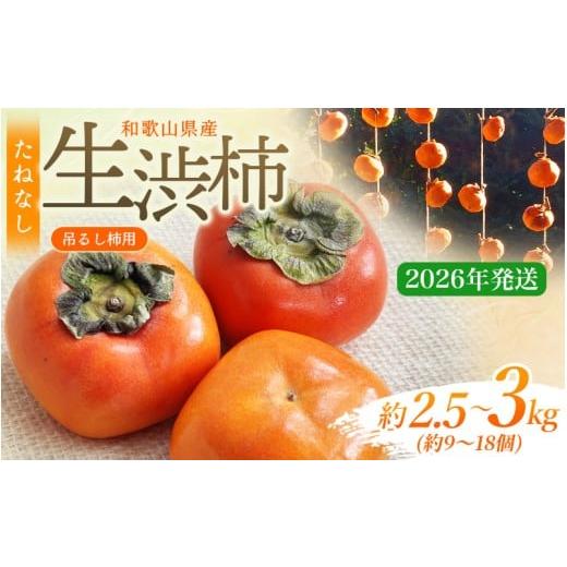 ふるさと納税 果物類 柿 和歌山県 串本町 柿 干し柿 甘さが違う とっても甘くなる生渋柿(平たねなし柿)吊るし柿用 T字枝or吊るしクリップ付 約2.5〜3kg 約9…