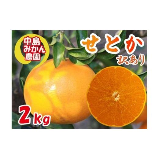 ふるさと納税 果物類 みかん 愛媛県 松山市 2026年3月から発送 せとか 訳あり 2kg | セトカ みかん 蜜柑 柑橘 高級 わけあり 訳あり 甘い みかん 柑橘 愛媛 …
