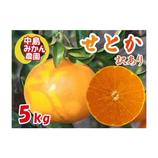 ふるさと納税 みかん・柑橘類 愛媛県 松山市 2026年3月から発送 せとか 訳あり 5kg | セトカ みかん 蜜柑 柑橘 高級 わけあり 訳あり 甘い みかん 柑橘 愛媛…