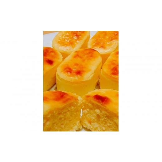 ふるさと納税 ケーキ・カステラ チーズケーキ 滋賀県 草津市 半熟ちーず10個入