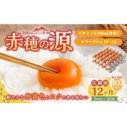 ふるさと納税 卵(鶏、烏骨鶏等) 兵庫県 赤穂市 12ヶ月定期便 赤穂の源 50個 (40個+割れ保証10個)(25×2パック)12回 定期便 計600個 割れ保障 鶏卵 卵 …