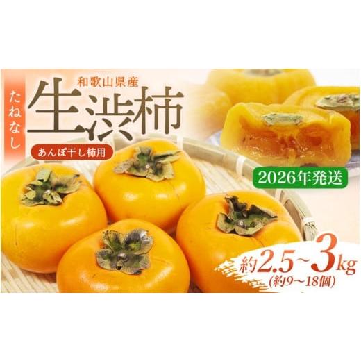 ふるさと納税 果物類 柿 和歌山県 太地町 県認定エコファーマー 甘さが違う とっても甘くなる生渋柿(平たねなし柿)あんぽ柿用 T軸枝無 約2.5〜3kg 約9〜18…