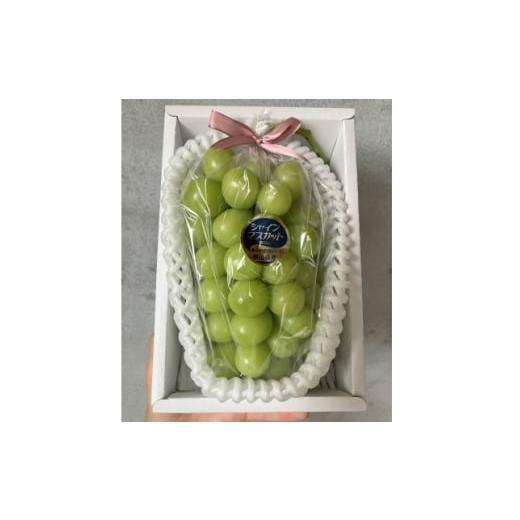 ふるさと納税 ぶどう 岡山県 新庄村 岡山産 高級シャインマスカット2房1.2kg以上 糖度18度以上 1710268