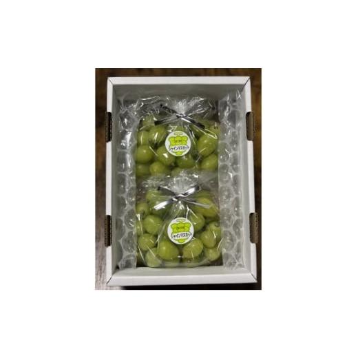 ふるさと納税 ぶどう 岡山県 新庄村 訳アリ 家庭用 糖度18度以上 つみ落としシャインマスカット 計1キロ以上 1710270