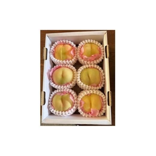 ふるさと納税 もも 岡山県 新庄村 岡山産白桃 ご家庭用 1キロ以上 品種園主お任せ 訳アリ 1710272