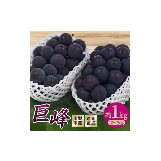 ふるさと納税 ぶどう 巨峰 山梨県 山梨市 2026年先行予約 山梨市産 巨峰 約1kg(2〜3房) 1706556
