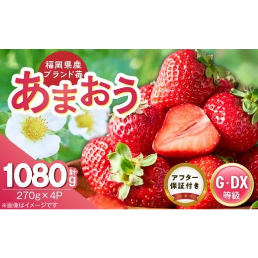 ふるさと納税 いちご 福岡県 久留米市 2026年3月下旬より順次発送 あまおう苺(270g×4P) _ あまおう いちご 270g 4パック グレード グランデ デラックス ア…