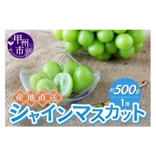 ふるさと納税 ぶどう マスカット 山梨県 甲州市 産地直送やみつきシャインマスカット 約500g(1房) 2026年発送 (RC)A06-001 シャインマスカット 葡萄 ぶど…