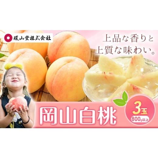 ふるさと納税 もも 岡山県 浅口市 2026年先行予約 桃 もも 岡山白桃 3玉(800g以上) 岡山県産 環山堂株式会社[2026年7月上旬-8月上旬頃出荷]岡山県 浅口市 …