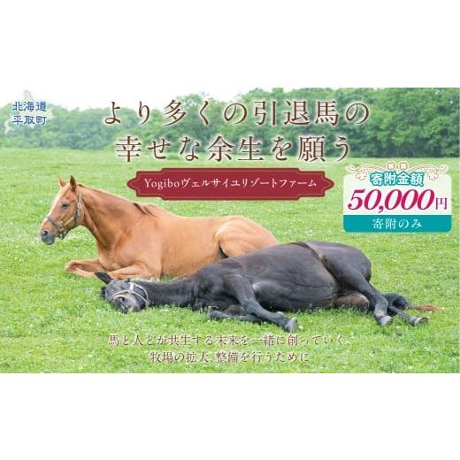 ふるさと納税 イベントやチケット等 北海道 平取町 返礼品無し より多くの引退馬の幸せな余生を願う Yogiboヴェルサイユリゾートファーム(5万円コース) ふ…