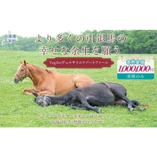 ふるさと納税 イベントやチケット等 北海道 平取町 返礼品無し より多くの引退馬の幸せな余生を願う Yogiboヴェルサイユリゾートファーム(100万円コース) …